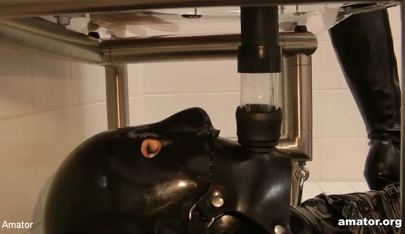 Lady Ashley に 'クアド・ローカス: wc' from 'Kink Partners' (写真 10) Kink Partners 'クアド・ローカス: wc' 主演 Lady Ashley (写真 10)