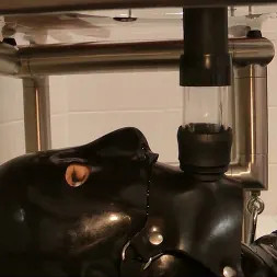 Lady Ashley に 'Kink Partners' クアド・ローカス: wc (サムネイル 10)