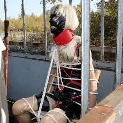 Lady Bijou en 'Kink Partners' Sissy es una exhibicionista (Miniatura 6)