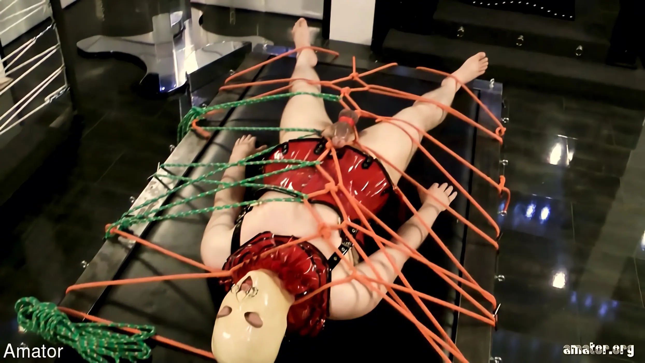 Kink Partners '- Regulam Dea (4 of 4)' 主演 Lady Estelle (写真 6)