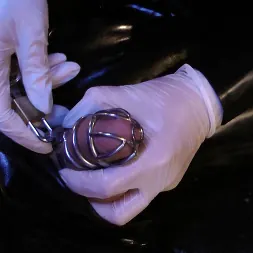 Lady Letizia in Lady Letizia: Milking (Photo 16) Lady Letizia in 'Kink Partners' Lady Letizia: Milking (Thumbnail 16)