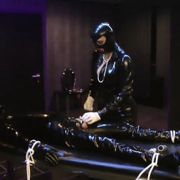Lady Letizia に 'Kink Partners' レディ・レティツィア:搾乳 (サムネイル 8)