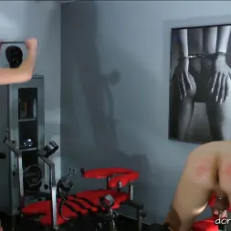 Lady Natalie Black in 'Kink Partners' Lady Natalie Black: Well Hung Fuck Toy (2 of 3) (Thumbnail 24)