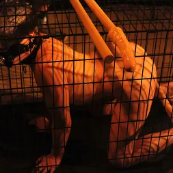 Leila Hazlett に ケージの中のカット (写真 2) Leila Hazlett に 'Kink Partners' ケージの中のカット (サムネイル 2)