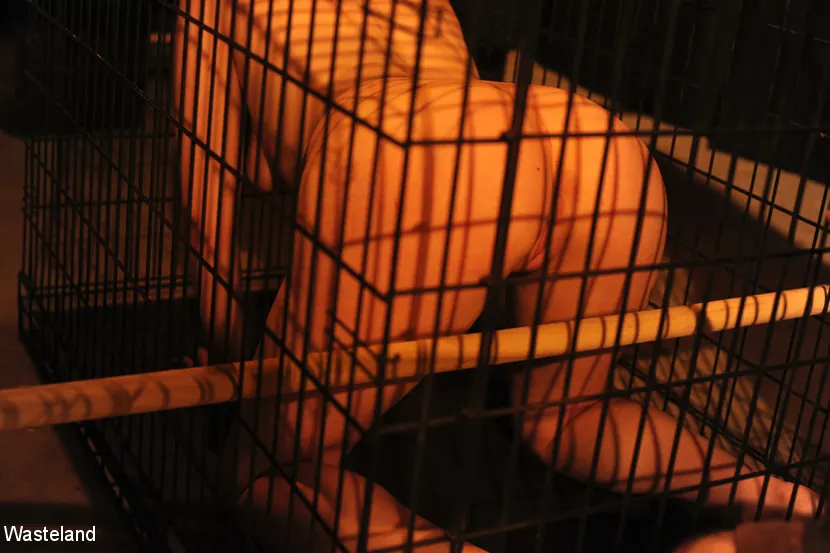 Kink Partners 'Kat in a Cage' starring Leila Hazlett (Photo 3)