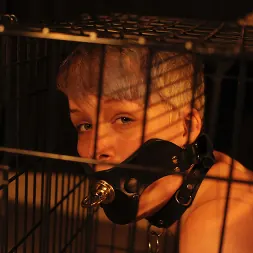 Leila Hazlett に ケージの中のカット (写真 4) Leila Hazlett に 'Kink Partners' ケージの中のカット (サムネイル 4)