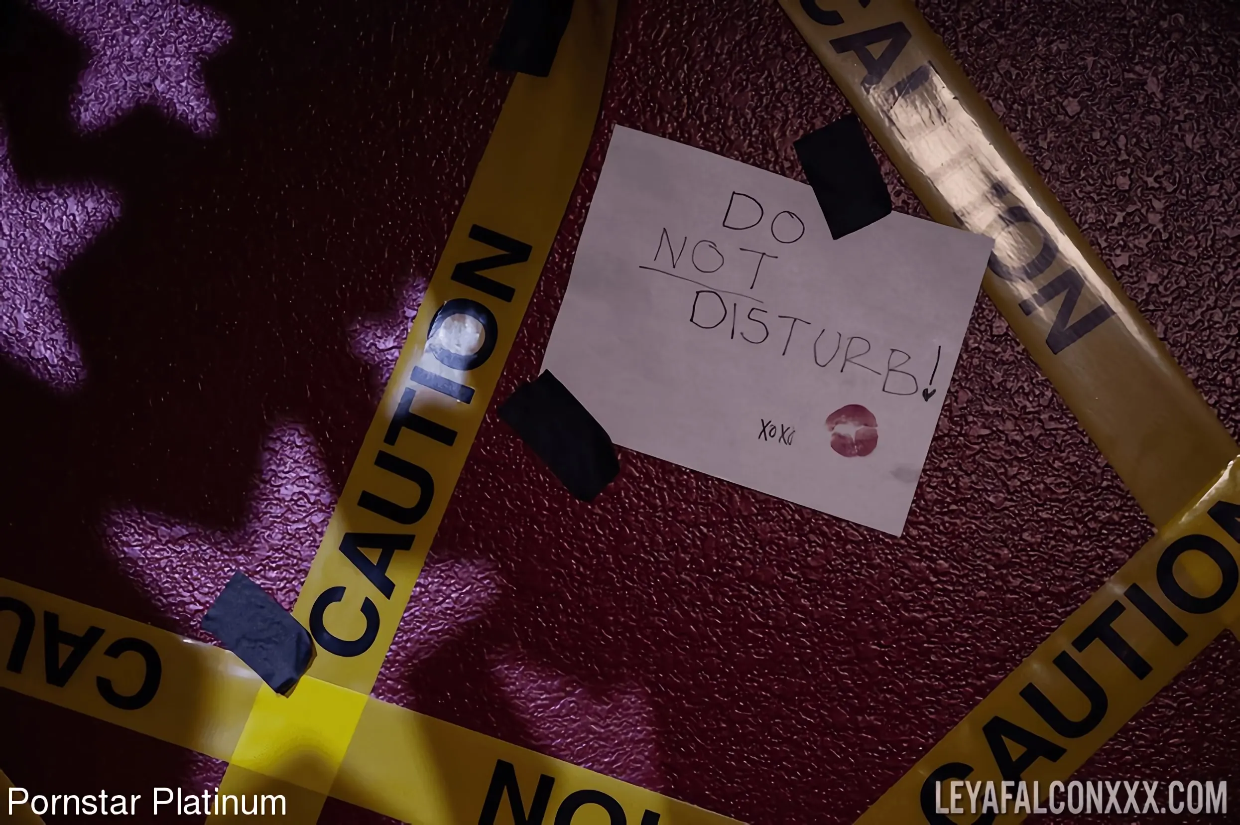 Kink Partners 'in Caution: Please Disturb with those 2 Cocks!' protagonizando Leya Falcon (foto 3)