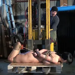 Leyla Gold in Leyla gets Hogtied, Tape-Gagged, and Forklifted! (Photo 9) Leyla Gold in 'Kink Partners' Leyla gets Hogtied, Tape-Gagged, and Forklifted! (Thumbnail 9)