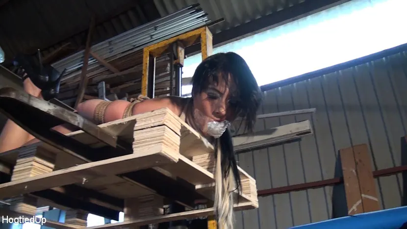 Leyla Gold in 'Leyla gets Hogtied, Tape-Gagged, and Forklifted!' from 'Kink Partners' (Photo 15) Kink Partners 'Leyla gets Hogtied, Tape-Gagged, and Forklifted!' starring Leyla Gold (Photo 15)