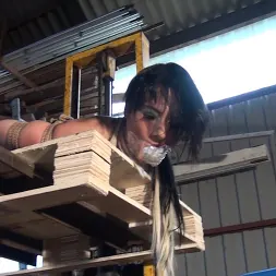 Leyla Gold in Leyla gets Hogtied, Tape-Gagged, and Forklifted! (Photo 15) Leyla Gold in 'Kink Partners' Leyla gets Hogtied, Tape-Gagged, and Forklifted! (Thumbnail 15)