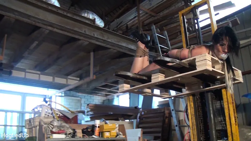 Kink Partners '¡Leyla es atada, amordazada con cinta y levantada con una carretilla!' protagonizando Leyla Gold (foto 16)