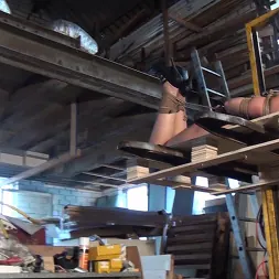 Leyla Gold in Leyla gets Hogtied, Tape-Gagged, and Forklifted! (Photo 16) Leyla Gold in 'Kink Partners' Leyla gets Hogtied, Tape-Gagged, and Forklifted! (Thumbnail 16)