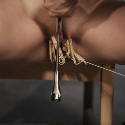 Lilly Ligotage に 'Kink Partners' ブラジャーの戦い (サムネイル 3)