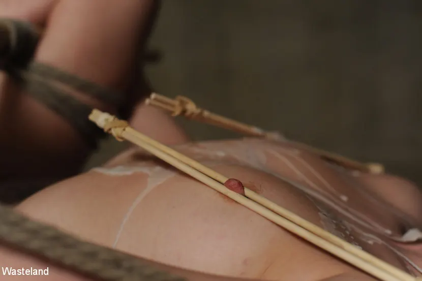 Kink Partners 'ティーンbdsmセックスと提出 - ユリ露出' 主演 Lilly Ligotage (写真 7)