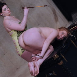Lilly Ligotage に 'Kink Partners' リリーの缶 (サムネイル 1)