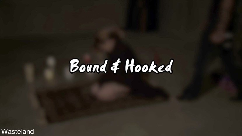 Kink Partners 'Bound and Hooked' starring Lily Ligotage (Photo 1)