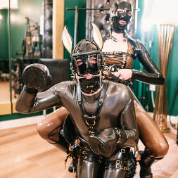 Luci van Cage en Juego de ponis de goma: el semental fue ensillado y ordeñado por una máquina de ordeño (foto 1) Luci van Cage en 'Kink Partners' Juego de ponis de goma: el semental fue ensillado y ordeñado por una máquina de ordeño (Miniatura 1)