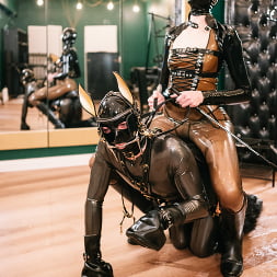 Luci van Cage en Juego de ponis de goma: el semental fue ensillado y ordeñado por una máquina de ordeño (foto 3) Luci van Cage en 'Kink Partners' Juego de ponis de goma: el semental fue ensillado y ordeñado por una máquina de ordeño (Miniatura 3)