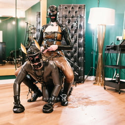 Luci van Cage en Juego de ponis de goma: el semental fue ensillado y ordeñado por una máquina de ordeño (foto 19) Luci van Cage en 'Kink Partners' Juego de ponis de goma: el semental fue ensillado y ordeñado por una máquina de ordeño (Miniatura 19)