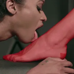 Lyra Law に あなたは愛人に従うでしょう (写真 14) Lyra Law に 'Kink Partners' あなたは愛人に従うでしょう (サムネイル 14)