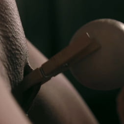 Lyra Law に 'Kink Partners' あなたは愛人に従うでしょう (サムネイル 15)