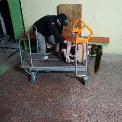 Mila Fox in 'Kink Partners' UNCOMFORTABLE AND HOGTIED (Thumbnail 1)