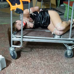 Mila Fox in 'Kink Partners' UNCOMFORTABLE AND HOGTIED (Thumbnail 4)