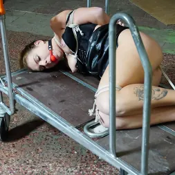 Mila Fox in 'Kink Partners' UNCOMFORTABLE AND HOGTIED (Thumbnail 5)