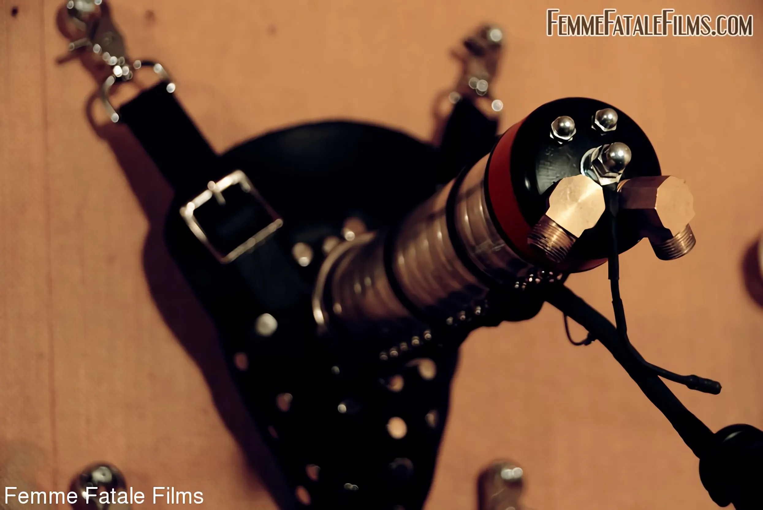 Mistress Eleise de Lacy に '極端な束縛' from 'Kink Partners' (写真 5) Kink Partners '極端な束縛' 主演 Mistress Eleise de Lacy (写真 5)