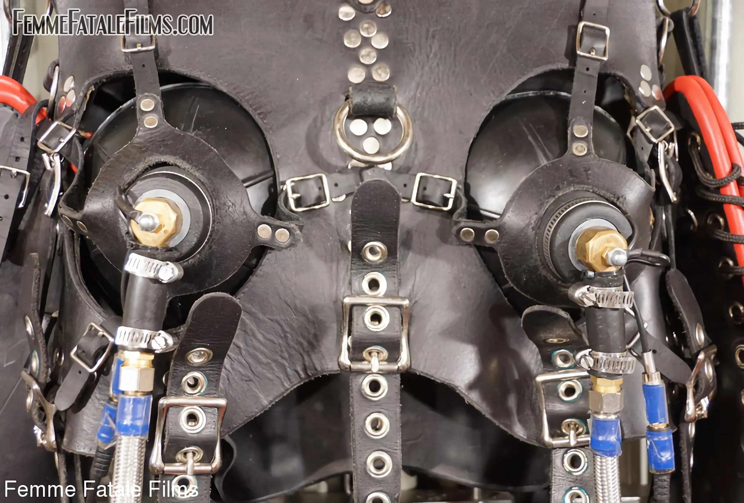 Mistress Eleise de Lacy に '極端な束縛' from 'Kink Partners' (写真 18) Kink Partners '極端な束縛' 主演 Mistress Eleise de Lacy (写真 18)