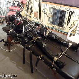 Mistress Eleise de Lacy に 'Kink Partners' 極端な束縛 (サムネイル 2)