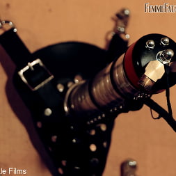 Mistress Eleise de Lacy に 'Kink Partners' 極端な束縛 (サムネイル 5)