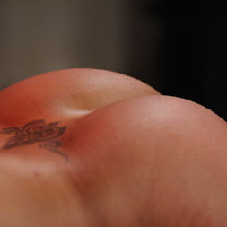 Giselle Humes in 'Kink Partners' Anal Invader (Thumbnail 8)