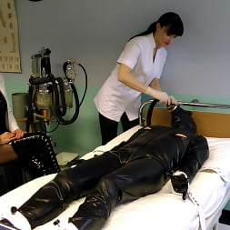 Mistress Z に 'Kink Partners' 厄介な治療法 3 の 3 (サムネイル 10)