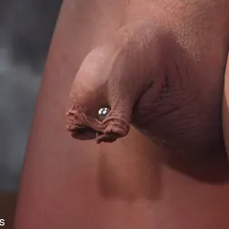 Mona Wales に 'Kink Partners' 入札済み (サムネイル 16)