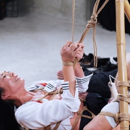 Nyssa Nevers に 'Kink Partners' 私は男の子をいじめるので (サムネイル 14)