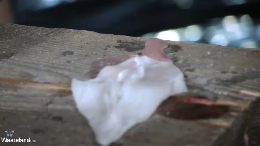 Kink Partners 'Wax On, Wax Off' protagonizando Nyssa Nevers (foto 5)