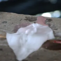 Nyssa Nevers in 'Kink Partners' Wax On, Wax Off (Thumbnail 5)