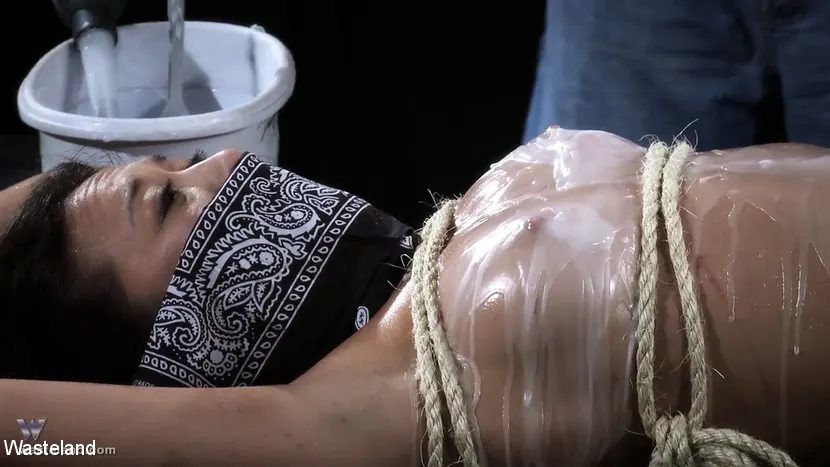 Kink Partners 'Wax On, Wax Off' protagonizando Nyssa Nevers (foto 24)