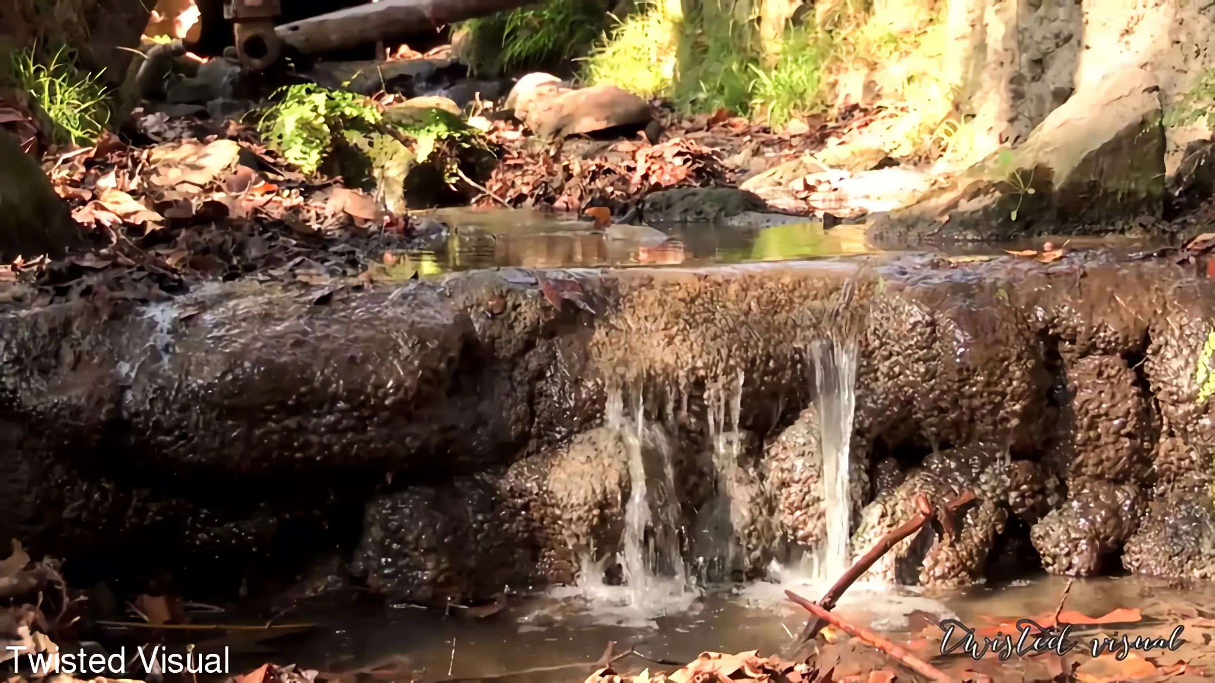 Kink Partners 'ハードコア レズビアン 三人組' 主演 Phoenix Marie (写真 1)