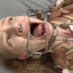 Rachel Greyhound en 'Kink Partners' Exposición a la camisa de fuerza eléctrica, primera parte (Miniatura 13)