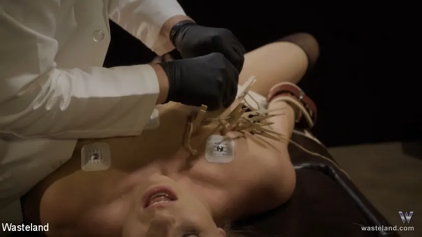 Sicilia Ricci に '試験' from 'Kink Partners' (写真 8) Kink Partners '試験' 主演 Sicilia Ricci (写真 8)