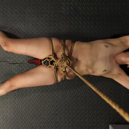 Slave Mila に 'Kink Partners' 彼の忘れられたおもちゃ:ロープで伸ばされ、ドクシーの縁を付けた奴隷ミラ (サムネイル 22)