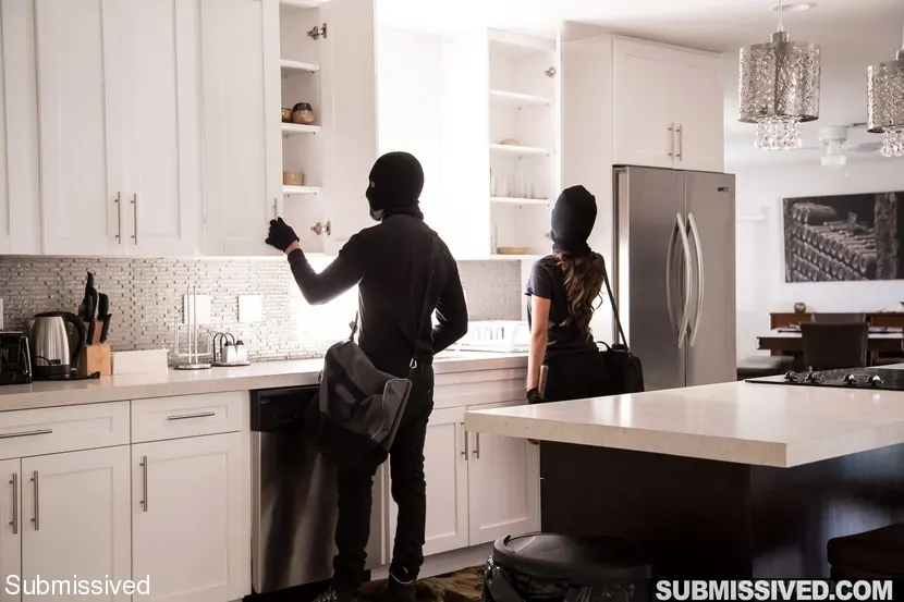 Kink Partners '束縛の盗賊' 主演 Sophia Leone (写真 2)