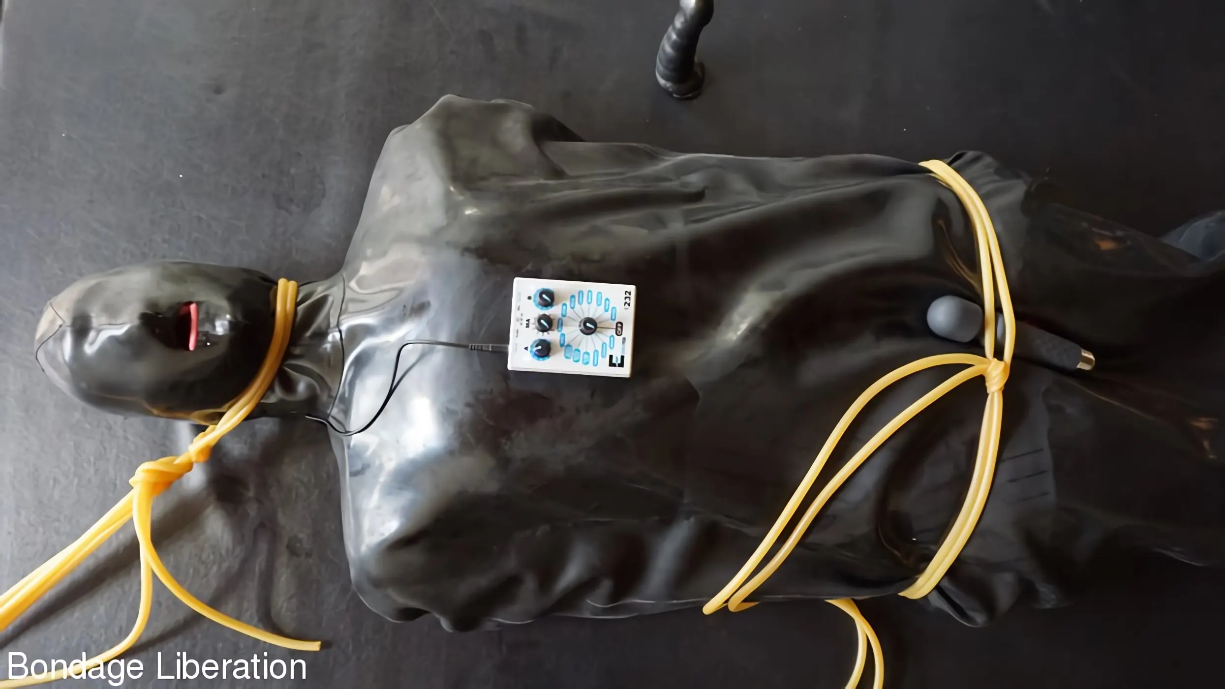 Kink Partners 'Conmoción y pavor' protagonizando Tai Crimson (foto 11)