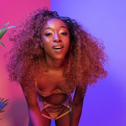Tasha Black に 'Kink Partners' ジョイ:タシャのためのグーン (サムネイル 15)