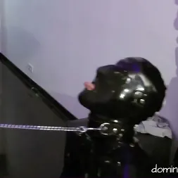 Tatjana Young in 'Kink Partners' Goes Mistress (1 of 4) (Thumbnail 11)