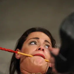 Ten en Todo lo que brilla (foto 12) Ten en 'Kink Partners' Todo lo que brilla (Miniatura 12)