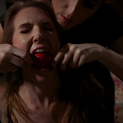 Tina Lee Comet en 'Kink Partners' Allanamiento de morada (Miniatura 9)