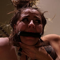 Tina Lee Comet en 'Kink Partners' Rompiendo en esclavo freshie (Miniatura 1)